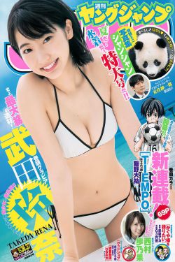 解忧公主电视剧全集免费观看